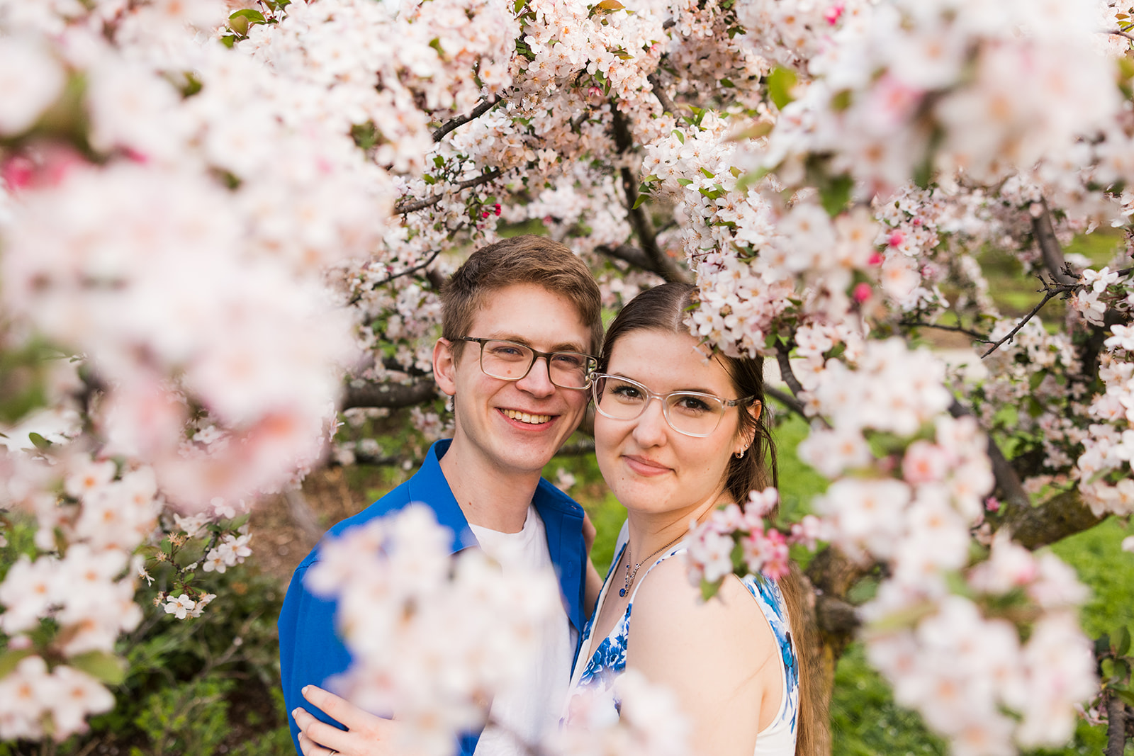 Cherry blossom couples picture