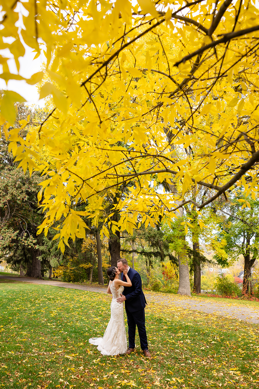 Fall Bride and Groom Portrait under a yellow tree
